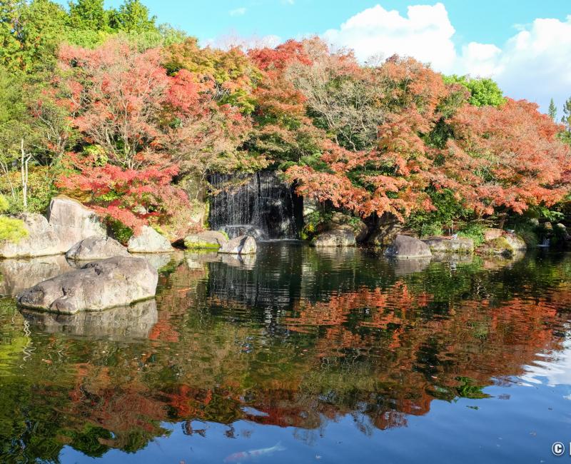 Koko-en, jardin de la résidence du seigneur, cascade et érables rouges en novembre 2 Koko-en, jardin de la résidence du seigneur, cascade et érables rouges en novembre 2