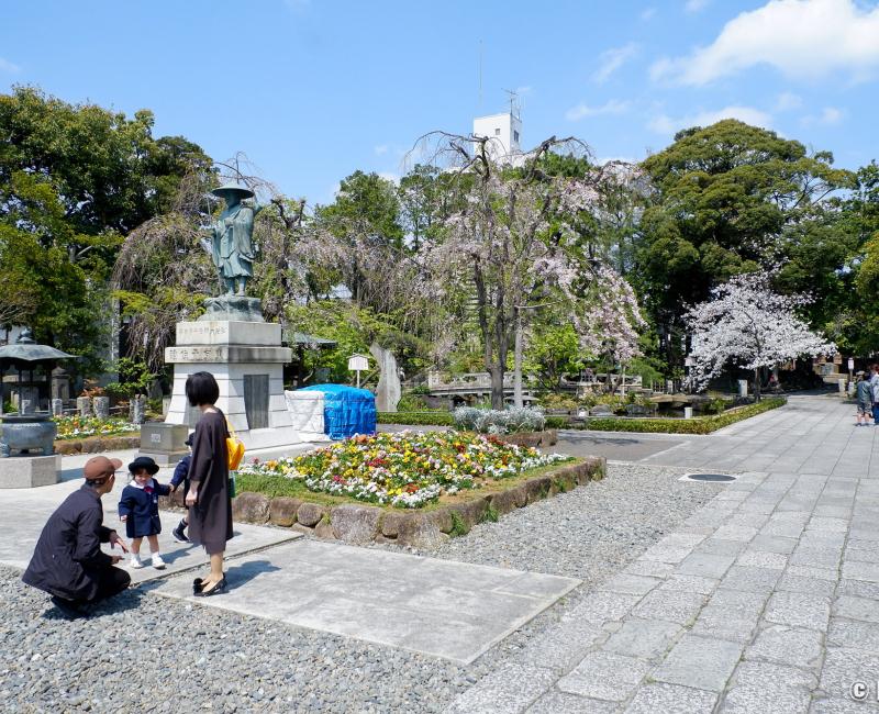 Hana Matsuri au temple Nishiarai Daishi (Tokyo), famille japonaise et statue de Kobodaishi en pèlerin