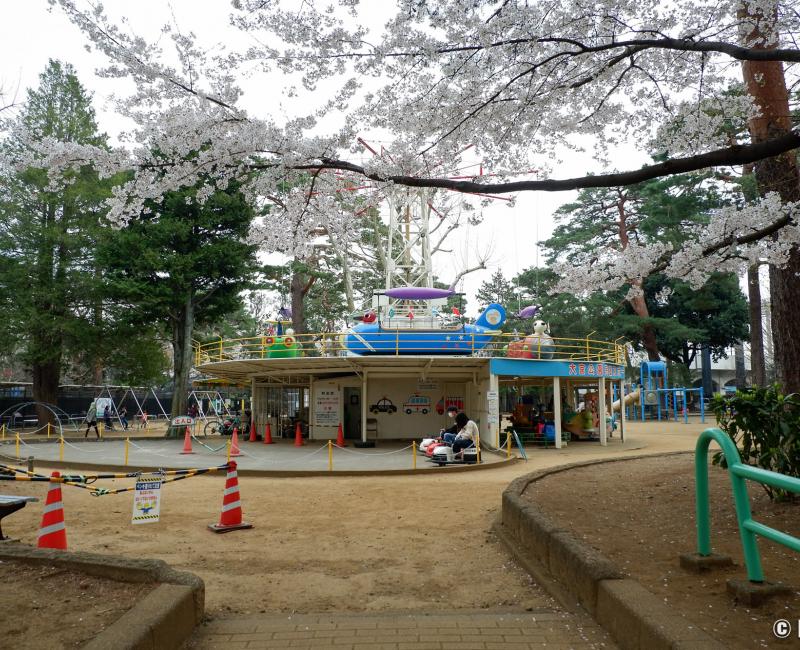 Parc d'Omiya (Saitama), aire de jeux pour enfants avec manèges et sakura Parc d'Omiya (Saitama), aire de jeux pour enfants avec manèges et sakura