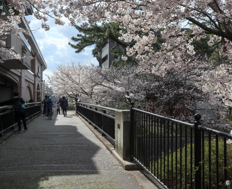Parc Shukugawa (Hyogo), vue depuis le pont de la gare de Koroen sur la ligne Hanshin