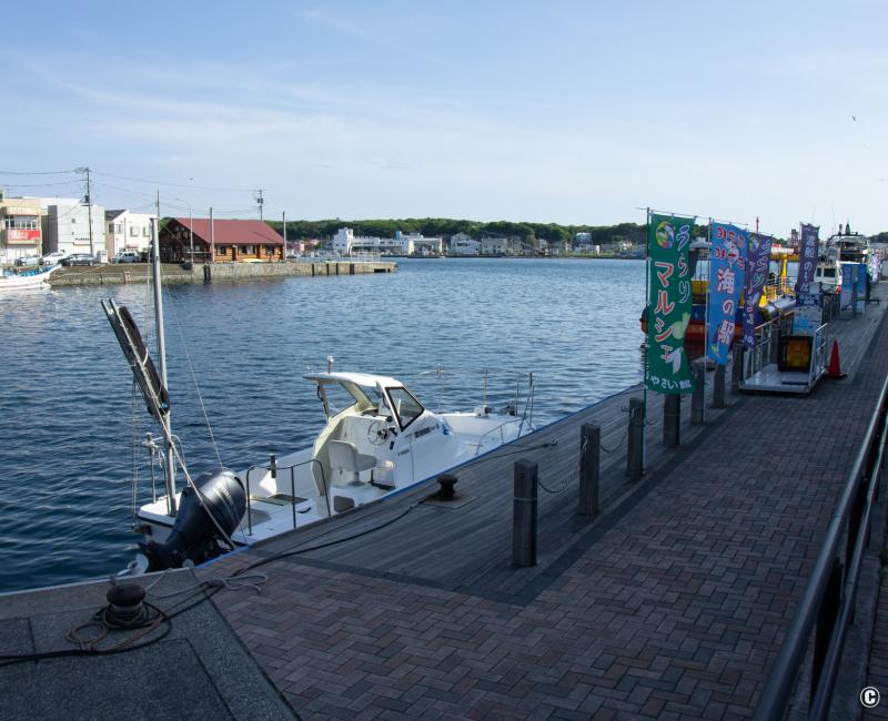 Miura, bateaux de pêche et de tourisme au port de Misaki