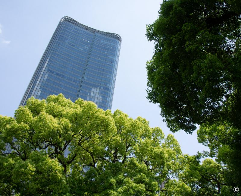 Parc Hibiya (Tokyo), vue sur les grands arbres et gratte-ciel