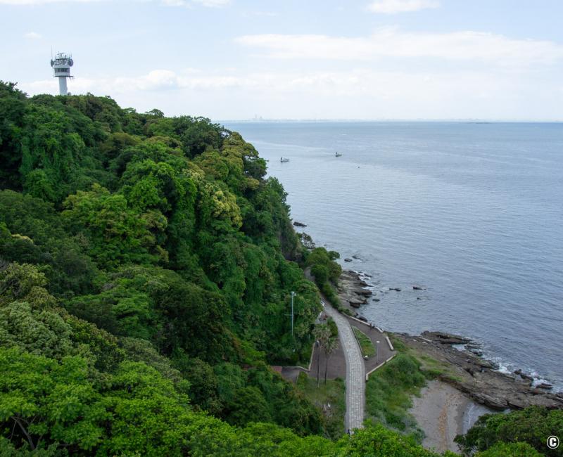 Yokosuka, parc Kannonzaki, vue en hauteur sur la baie de Tokyo Yokosuka, parc Kannonzaki, vue en hauteur sur la baie de Tokyo