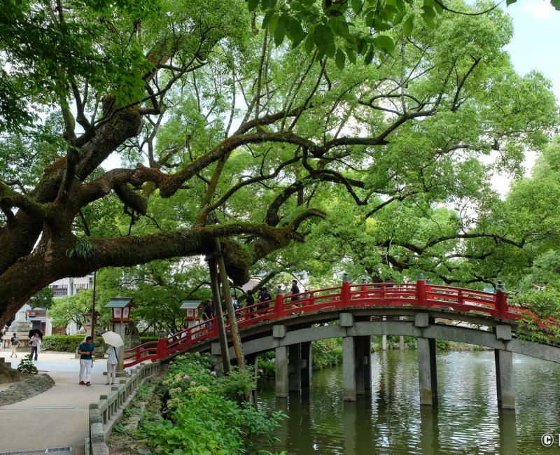 Dazaifu Tenman-gu, pont Taiko-bashi à l'entrée du sanctuaire 2