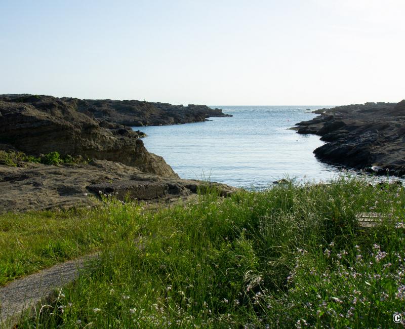 Jogashima (Miura), côte rocheuse au sud-ouest de l'île 3 Jogashima (Miura), côte rocheuse au sud-ouest de l'île 3