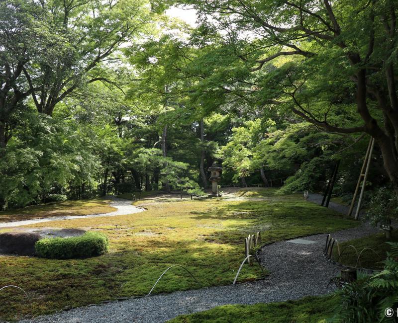 Yoshiki-en (Nara), jardin de mousses
