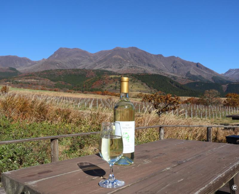 Monts Kuju (Taketa, Oita), domaine viticole 2