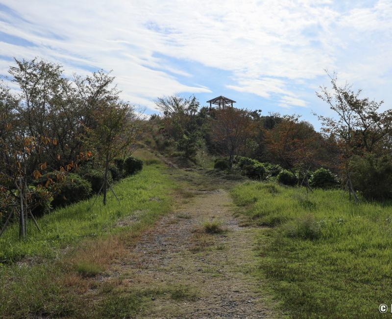 Takozushiyama (Wakayama), sentier de randonnée au sommet de la montagne Takozushiyama (Wakayama), sentier de randonnée au sommet de la montagne