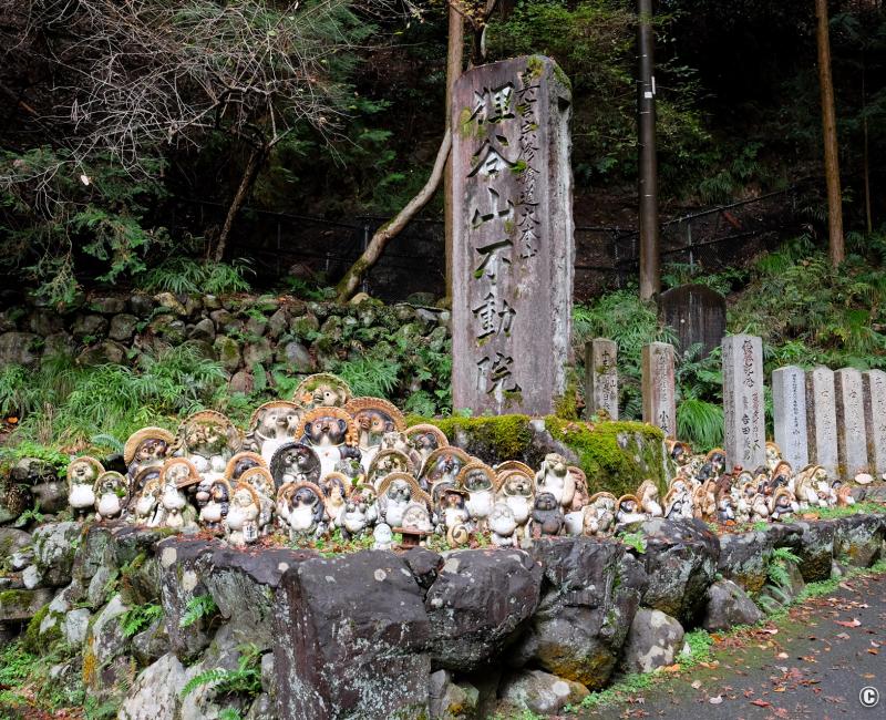 Tanukidani-san Fudo-in (Kyoto), statues de Tanuki dans l'enceinte du temple Tanukidani-san Fudo-in (Kyoto), statues de Tanuki dans l'enceinte du temple