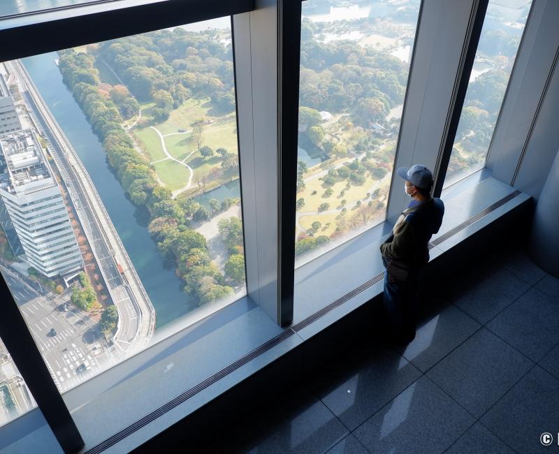 Caretta Shiodome (Tokyo), observatoire Dentsu