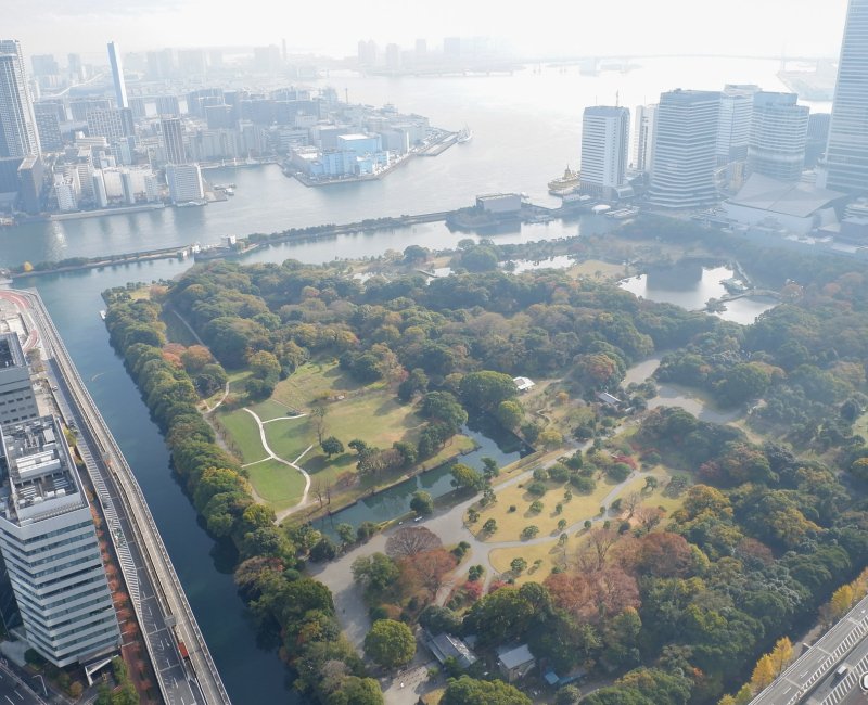 Hama Rikyu (Tokyo), panorama sur le jardin depuis l'immeuble Dentsu (Caretta Shiodome)
