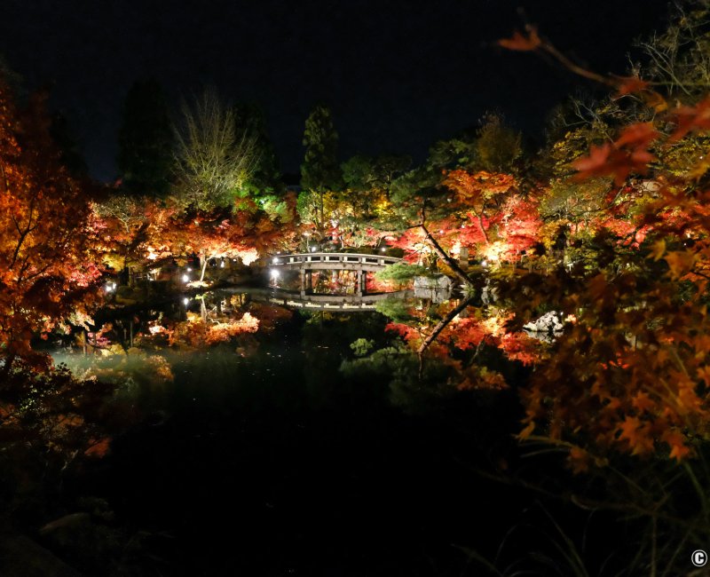 Eikan-do (Kyoto), illuminations nocturnes en période de Koyo Eikan-do (Kyoto), illuminations nocturnes en période de Koyo
