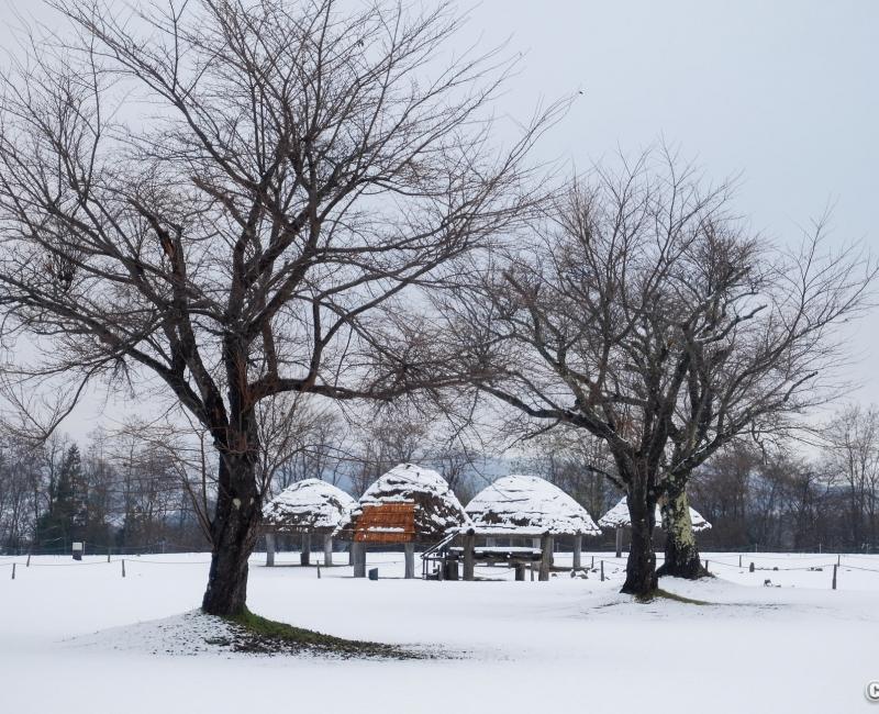 Sites Jomon Unesco, cercles de pierres d’Oyu (Akita, Tohoku)