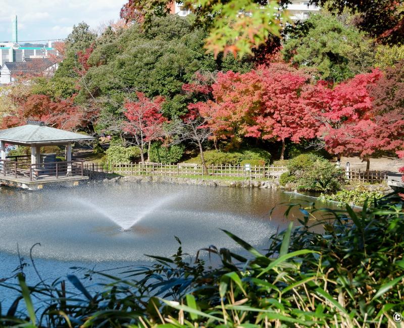 Takaoka (Toyama), parc du château et érables rouges en automne