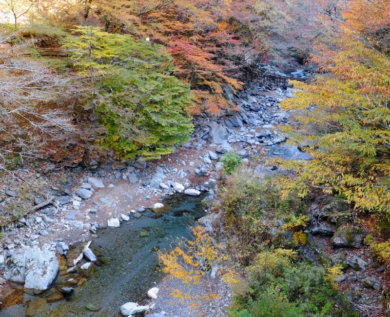 Vallée d'Iya (Shikoku), Vue sur la rivière en automne Vallée d'Iya (Shikoku), Vue sur la rivière en automne