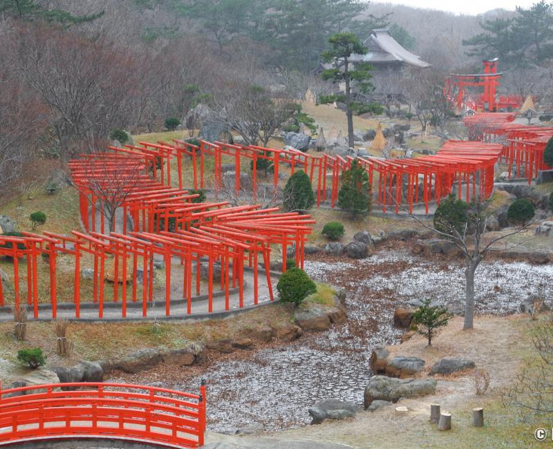 Takayama Inari-jinja (Aomori), tunnel Senbon-Torii et végétation du site en hiver Takayama Inari-jinja (Aomori), tunnel Senbon-Torii et végétation du site en hiver