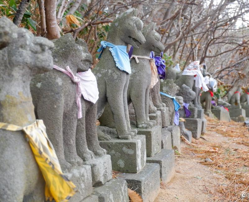 Takayama Inari-jinja (Aomori), statues de renards messagers d'Inari Takayama Inari-jinja (Aomori), statues de renards messagers d'Inari