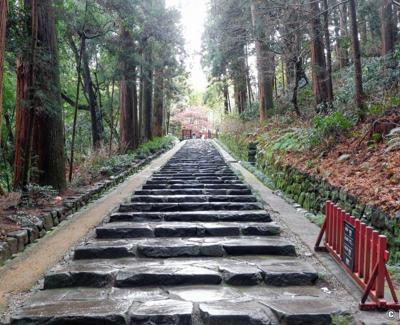 Zuihoden (Sendai), escalier d'accès dans la forêt au mausolée de Date Masamune Zuihoden (Sendai), escalier d'accès dans la forêt au mausolée de Date Masamune