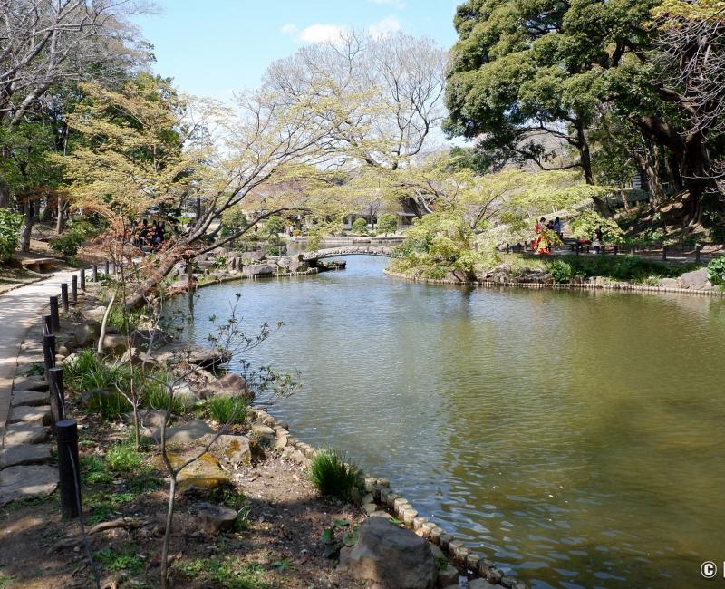 Jardin de Shin-Edogawa (Tokyo), sentier autour du plan d'eau Jardin de Shin-Edogawa (Tokyo), sentier autour du plan d'eau