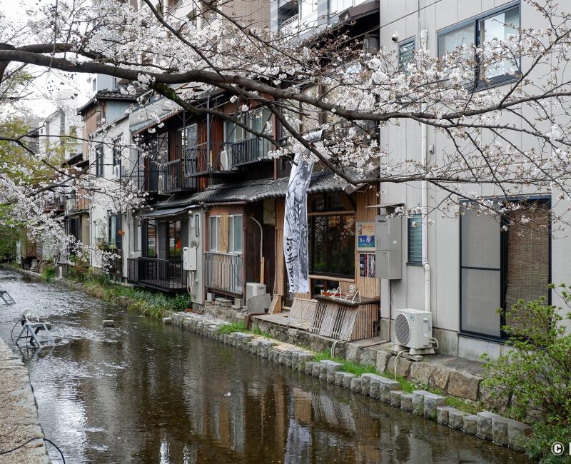 Kiyamachi-dori (Kyoto), vue sur les établissements au bord de la rivière Kiyamachi-dori (Kyoto), vue sur les établissements au bord de la rivière