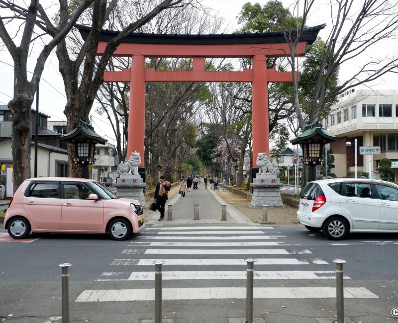 Omiya (Saitama), porte Ni no Torii de l'allée Hikawa Sando jusqu'au sanctuaire Hikawa-jinja Omiya (Saitama), porte Ni no Torii de l'allée Hikawa Sando jusqu'au sanctuaire Hikawa-jinja