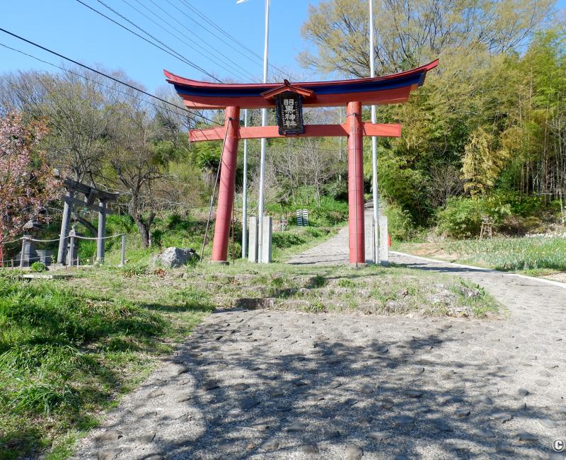 Ville de Fukushima (Tohoku), porte Torii à l'entrée du sanctuaire Haguro-san sur le mont Shinobu