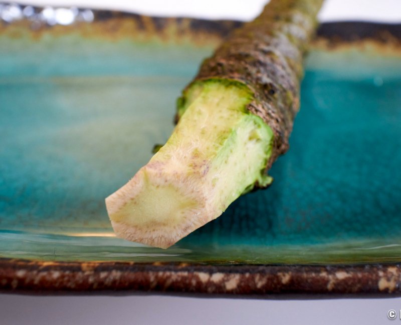 Wasabi Le véritable raifort japonais