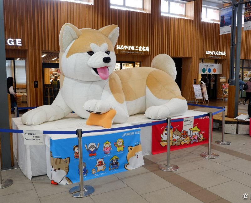Akita, grande peluche de chien Akita-inu dans le hall ouest de la gare JR Shinkansen Akita, grande peluche de chien Akita-inu dans le hall ouest de la gare JR Shinkansen