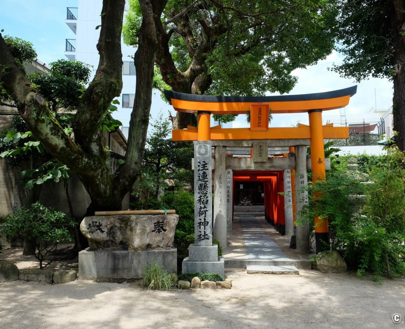 Kushida-jinja (Fukuoka), tunnel de Torii du sanctuaire Inari Kushida-jinja (Fukuoka), tunnel de Torii du sanctuaire Inari