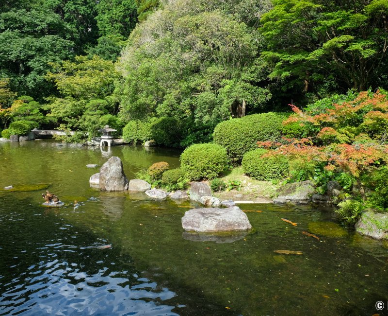 Parc Yusentei (Fukuoka), vue sur le plan d'eau du jardin en été Parc Yusentei (Fukuoka), vue sur le plan d'eau du jardin en été