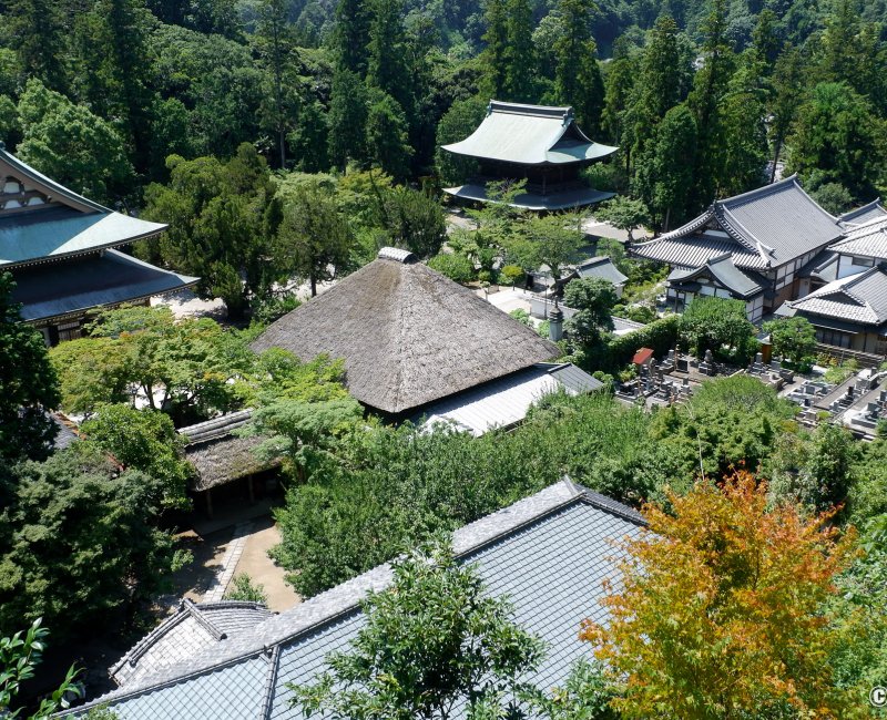 Engaku-ji (Kamakura), vue sur les toits des pavillons du temple depuis le cimetière Engaku-ji (Kamakura), vue sur les toits des pavillons du temple depuis le cimetière