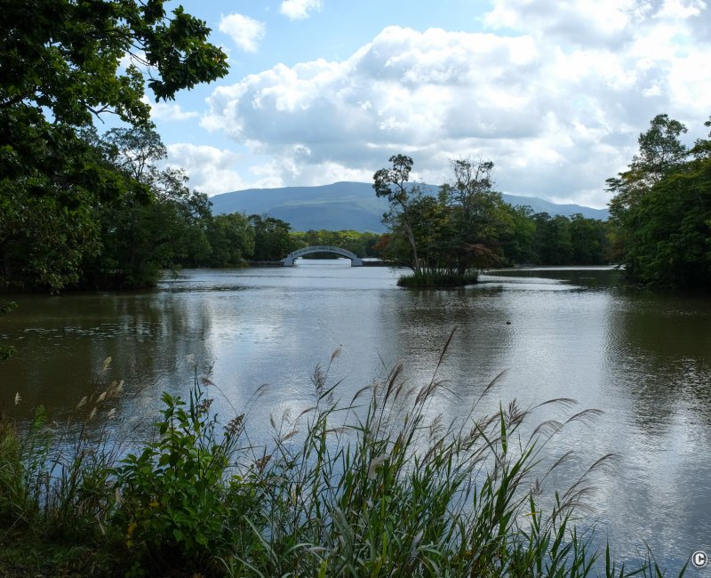 Parc d'Onuma (Hokkaido), vue sur le lac Onuma et le pont Ukishima-bashi