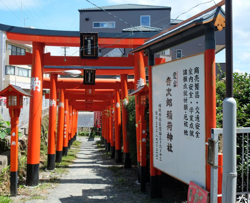 Washio Atago-jinja (Fukuoka), allée de Torii du sanctuaire Atago Otojiro Inari-jinja