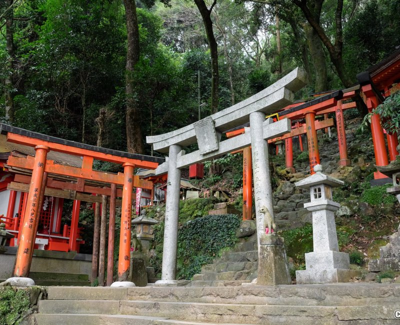 Yutoku Inari-jinja (Saga), Torii rouges dans la zone Okunoin du sanctuaire