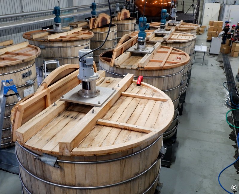 Distillerie Venture (Chichibu), cuves de fermentation du whisky de malt d'Ichiro