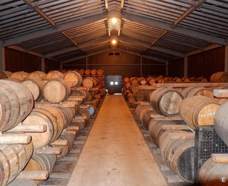 Venture Distillery (Chichibu), vieillissement du whisky Ichiro's Malt en fûts