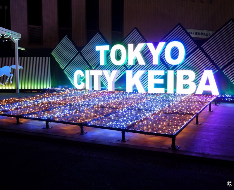 Tokyo Mega Illumination (Shinagawa), parterre illuminé avec le nom Tokyo City Keiba Tokyo Mega Illumination (Shinagawa), parterre illuminé avec le nom Tokyo City Keiba