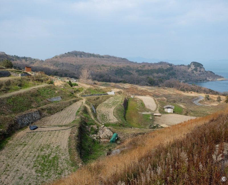 Teshima (Shikoku), vue sur les rizières en terrasses en hiver depuis le Musée d'art de Teshima