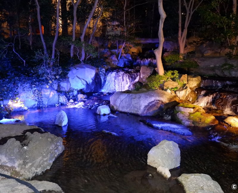 Happo-en (Tokyo), illuminations nocturnes du jardin en bleu Happo-en (Tokyo), illuminations nocturnes du jardin en bleu