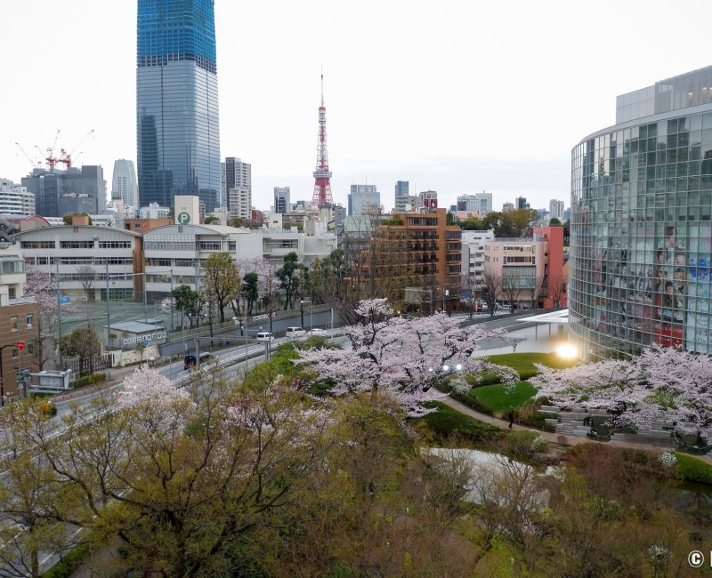 Roppongi Hills (Tokyo), vue sur Toranomon Hills, Tokyo Tower et le siège TV Asahi en période de sakura Roppongi Hills (Tokyo), vue sur Toranomon Hills, Tokyo Tower et le siège TV Asahi en période de sakura