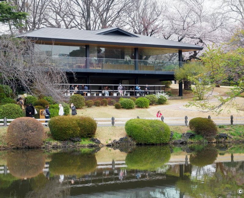 Starbucks Shinjuku Gyoen (Tokyo), vue du bâtiment avec sa terrasse côté jardin Starbucks Shinjuku Gyoen (Tokyo), vue du bâtiment avec sa terrasse côté jardin