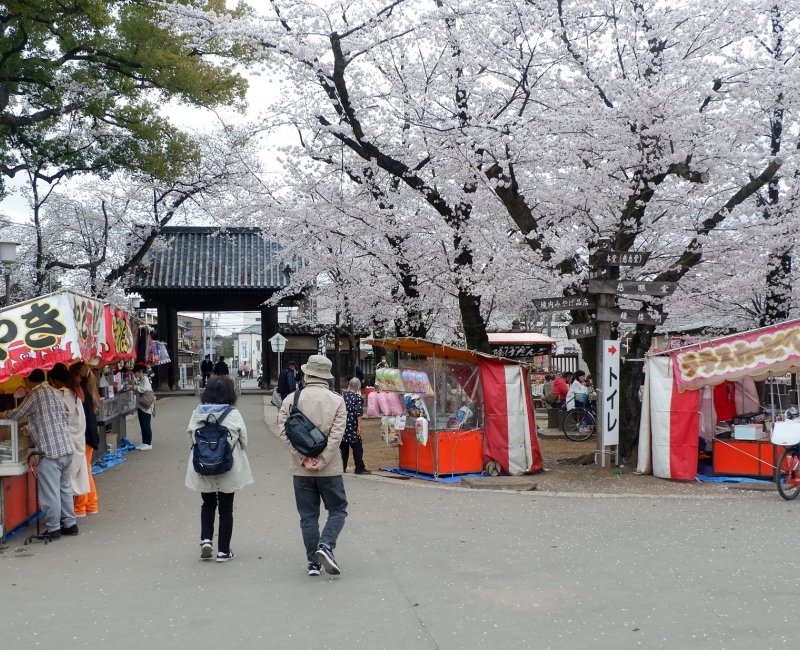Kawagoe (Saitama), stands pendant le Sakura Matsuri du temple Kita-in Kawagoe (Saitama), stands pendant le Sakura Matsuri du temple Kita-in