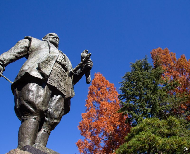 Parc du château de Sunpu, statue de Tokugawa Ieyasu avec un faucon 2