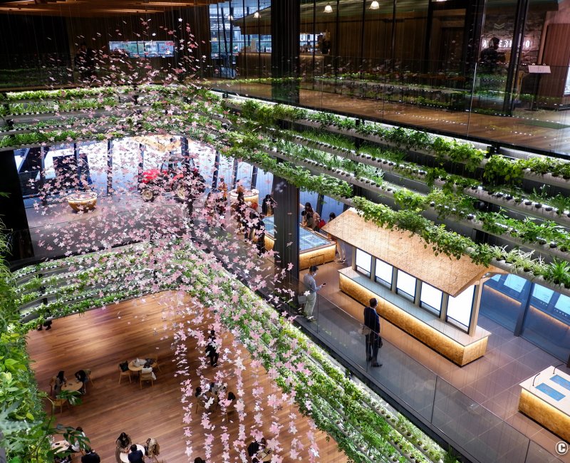 Yaesu (Tokyo), atrium Hanasaka Square de Yanmar Tokyo