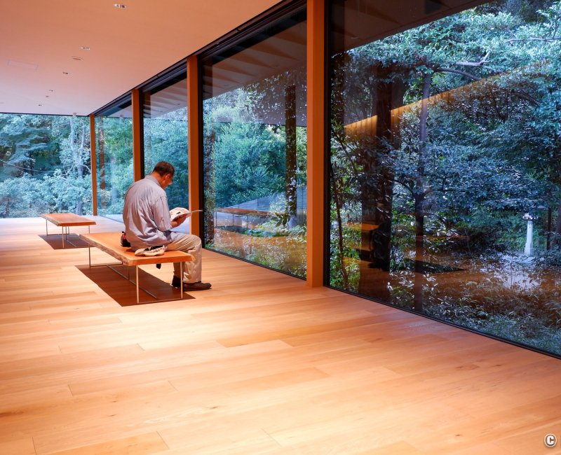 Meiji Jingu Museum, vue sur la forêt depuis l'intérieur du musée Meiji Jingu Museum, vue sur la forêt depuis l'intérieur du musée