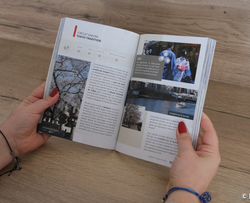 Aperçu du tome 4 - Tokyo : guide de la capitale moderne du Japon