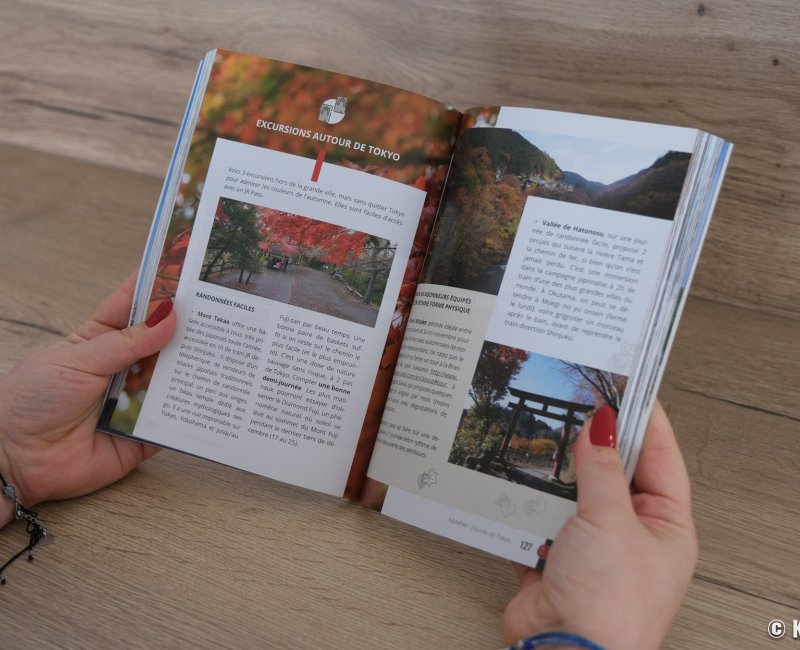 Aperçu du tome 4 - Tokyo : guide de la capitale moderne du Japon (2)