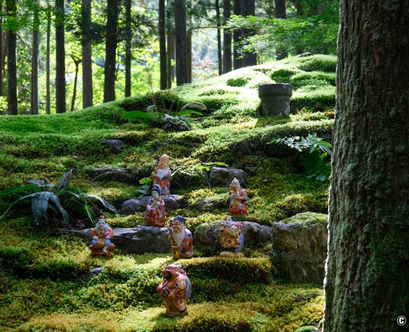 Hiyo Koke no Sato (Ishikawa), tapis de mousses et statues des 7 Divinités du Bonheur Hiyo Koke no Sato (Ishikawa), tapis de mousses et statues des 7 Divinités du Bonheur
