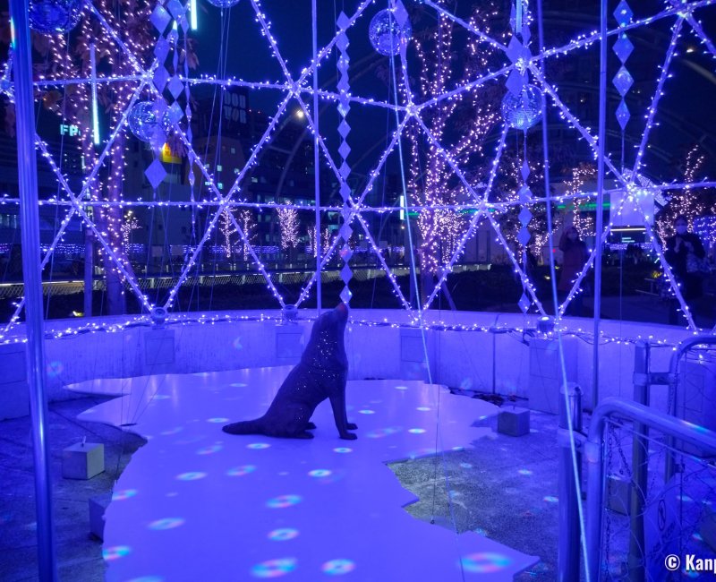 Statue du chien Hachiko au parc Miyashita illuminée en période de fin d'année