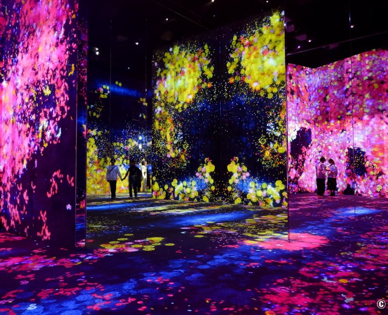 teamLab Borderless (Azabudai Hills, Tokyo), Flowers and People, Cannot be Controlled but Live Together